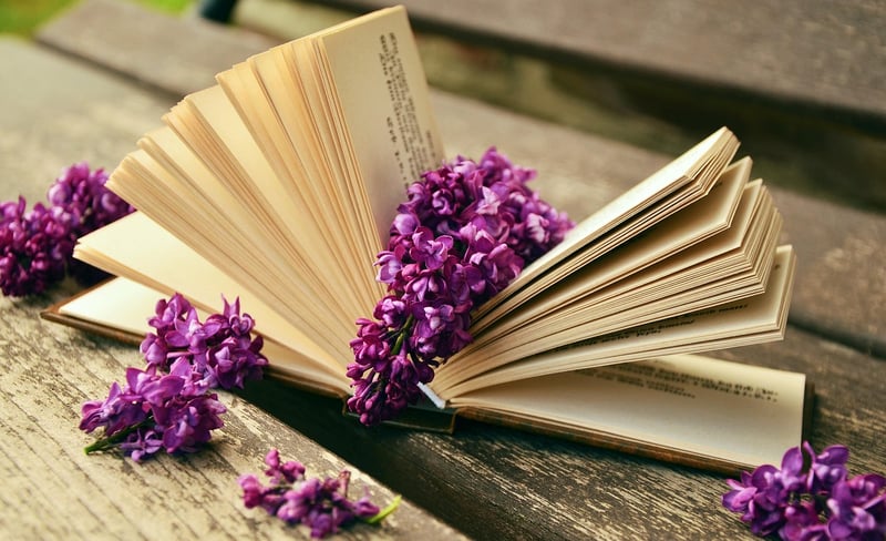 Vintage Book Planters