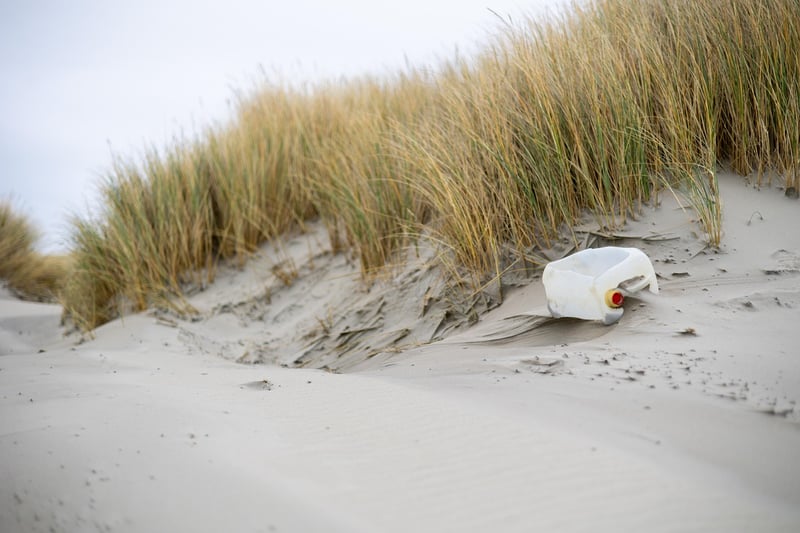 Say No to Single-Use Plastics